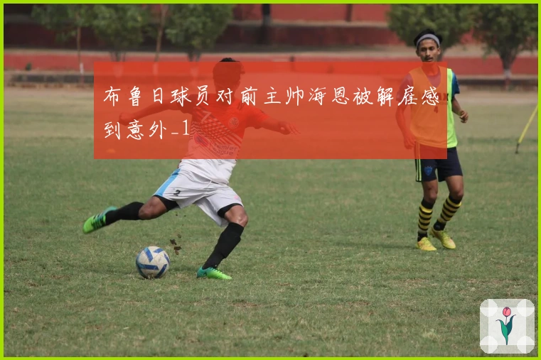 布鲁日球员对前主帅海恩被解雇感到意外_1