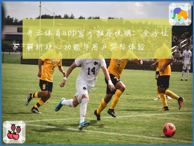 开云体育app官方推荐说明：全方位解析核心功能与用户实际体验